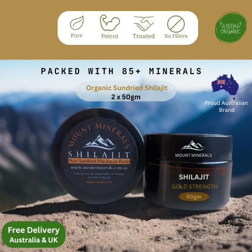_100gm Organic Shilajit Resin - GOLD STRENGTH